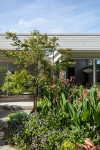 A serene villa adorned in timeless greens and whites