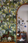 macaw wallpaper, dining room