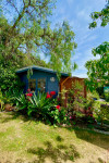 A 1930s Californian bungalow in Nelson bursts at the seams with colour and character