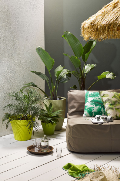 Make your garden pop with these colourful ideas