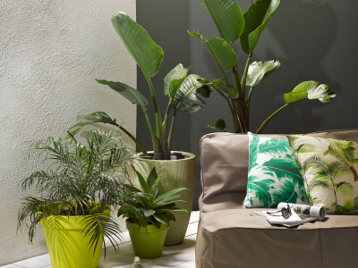 Make your garden pop with these colourful ideas