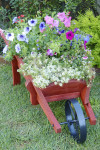 Make your garden pop with these colourful ideas