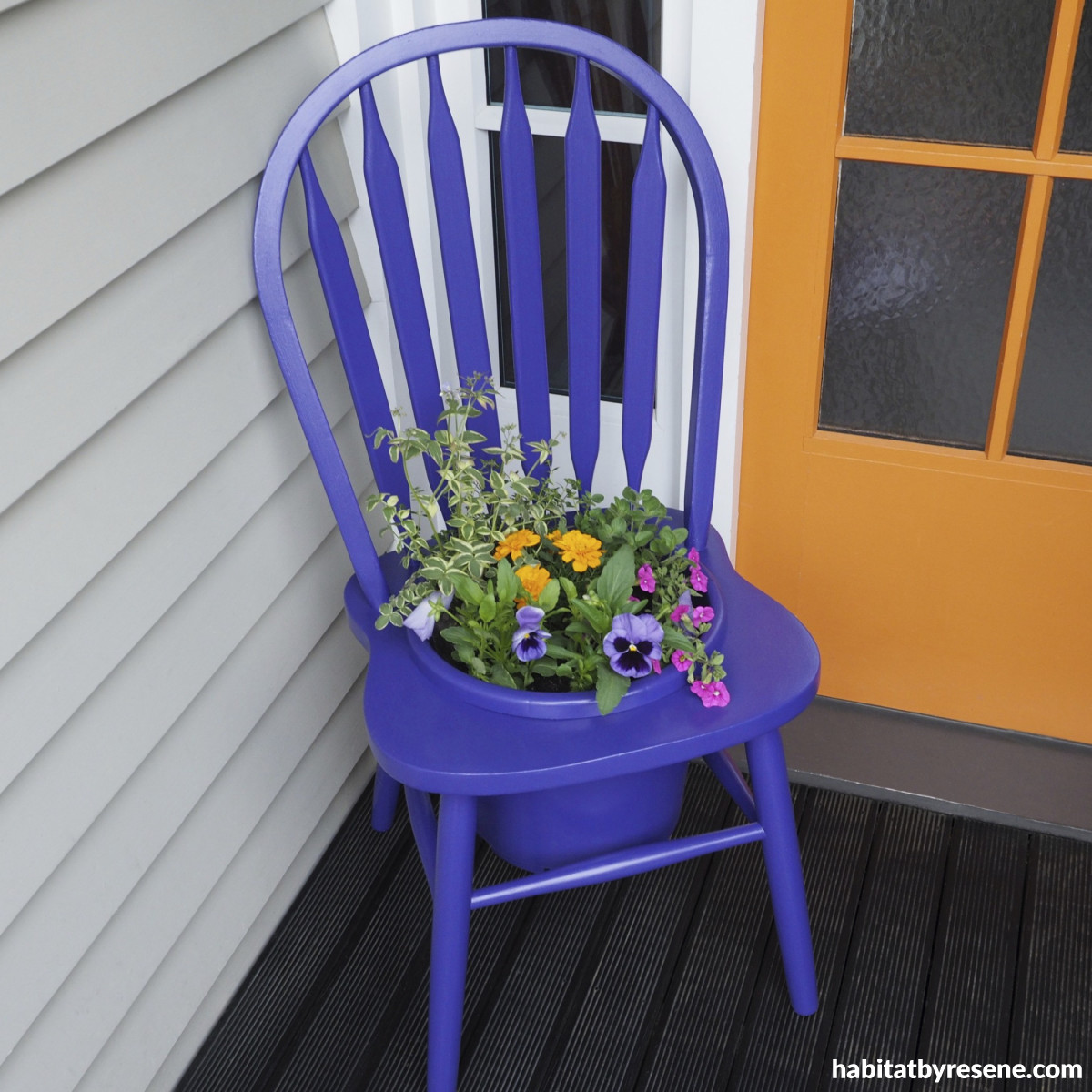 Transform An Old Chair Into A Cheerful Flower Planter Habitat By Resene   Photo 5 4 Paul Dragicevich  FillWzEyMDAsMTIwMF0 WatermarkWzEwLDEwLDM2MCwxNDQsIkJvdHRvbVJpZ2h0IiwyMjA4N10 