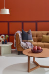 Warm up your home: Paint it orange for Arthritis NZ