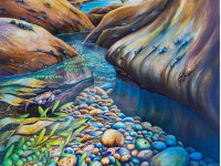 Beautify your home while also beautifying the country with Woman magazine and Resene’s Paint New Zealand Beautiful fundraiser art auction