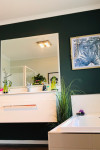 Jurassic world: This gorgeous home featuring four lush Resene greens was transformed in just six weeks