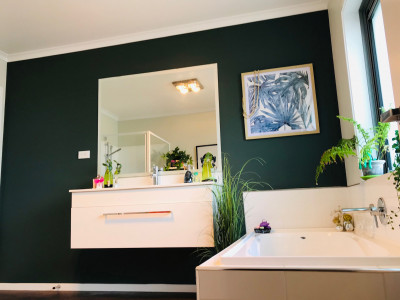 Jurassic world: This gorgeous home featuring four lush Resene greens was transformed in just six weeks