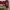 bedroom, cosy, deep red, wine red