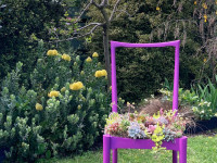 Framed Alive: Artist Kirsty Glasgow is planting and painting the scene