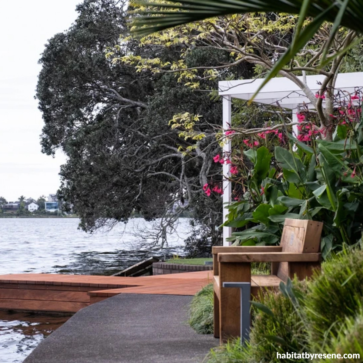 Explore Some Of Aucklands Best Gardens At The Auckland Garden