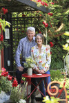 An enchanting cottage garden with a cute-as-a-button Shepherd's Hut