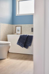 Beyond the ordinary: A home adorned in bold colours