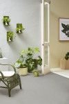 Spring into action: Get your outdoor areas ready for summer