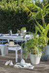 Entertain outdoors in style this holiday season with these tips for decorating courtyards, gardens and patios