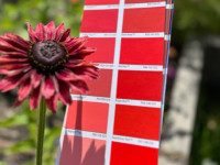 Reader roundup: Bold and bright projects