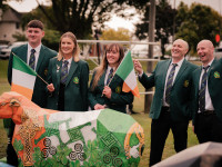 Counting sheep just got a lot more colourful