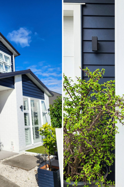 Home exterior colour schemes and designs