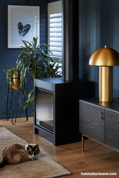 Deep blue living room painted in Resene Coast