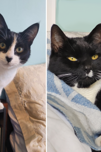 Seven years and one beautiful home 