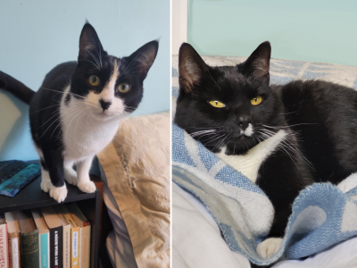 Seven years and one beautiful home 