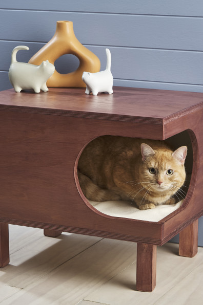 Creative and cost-effective testpot ideas for your home