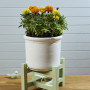 DIY plant stand