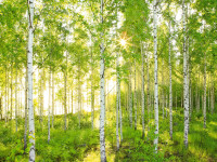 The colour of October has been announced