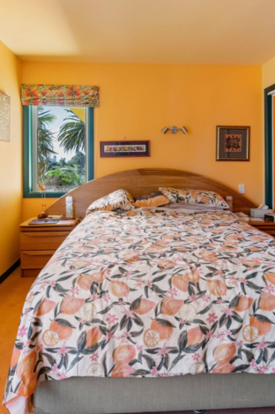 Could this be New Zealand’s brightest and boldest home? Could this be New Zealand’s brightest and boldest home?