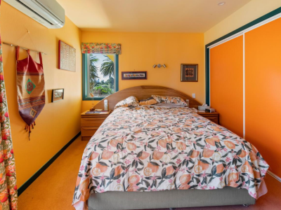 Could this be New Zealand’s brightest and boldest home?