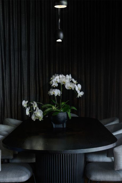 A home that thrives in the dark A home that thrives in the dark