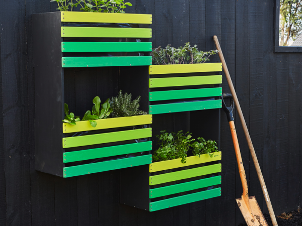 vege garden main FillMaxWzgwMCw2MDBd