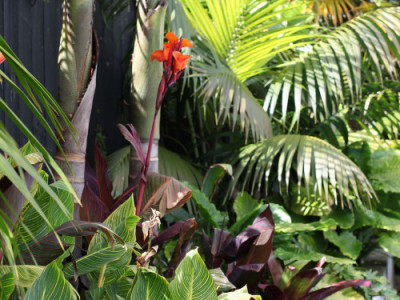 Is it time for a fence refresh? 6 ways that paint can elevate your home’s fencing and exterior  