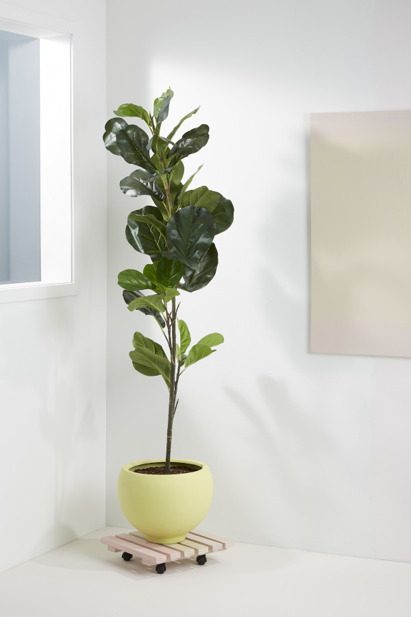 Leigh Stockton DIY Plant Caddy Resene DoubleAlabaster+HalfBlanc photo Bryce Carleton v3