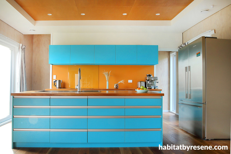 Ktichen featuring bold back wall and blue kitchen island
