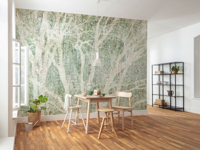 Taking your minimalist space to the next level with paints and wallpapers 