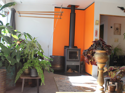 A maximalist mid-century home brought to life with colour and hard work