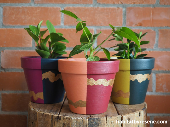 Plant pots, multi-colour plant pots