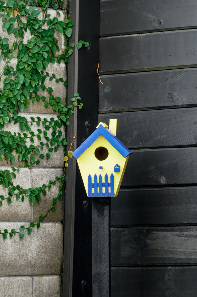 Building a dream home in the City of Sails Building a dream home in the City of Sails