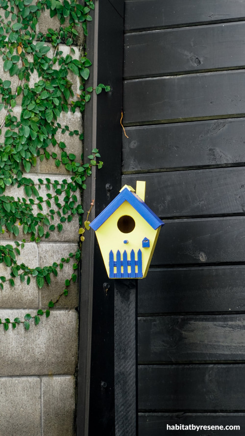 Exterior and birdhouse