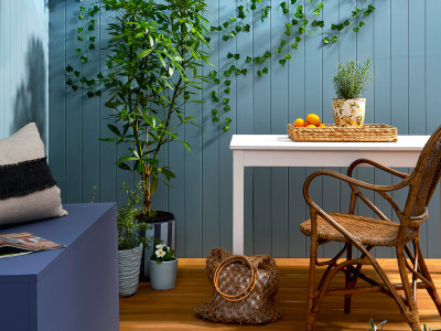 Decked out for winter