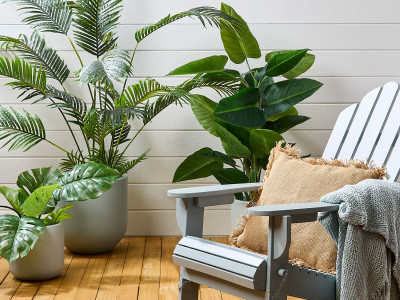 Decked out for winter