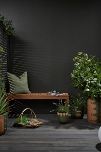 Decked out for winter