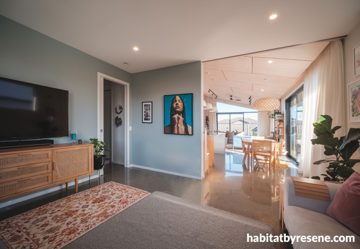 Media room painted in Resene Half Inside Back