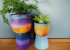 Pot-luck skies: Paint your own sunrise and sunset plant pots photo