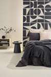 Dreamy designs: Unlocking the secrets of serenity in bedroom design