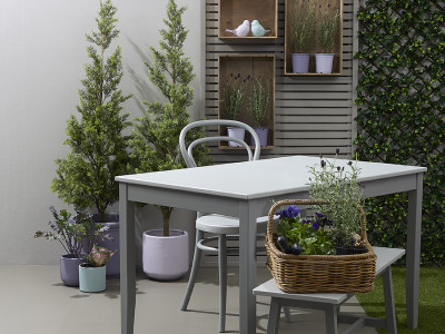 Paint it purple to support Epilepsy New Zealand