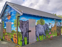 A splash of colour for a rainy day: Alice’s award-winning mural at St Mary’s School 
