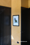 Doors and trims painted in Resene Black