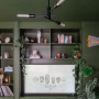 Living room with walls, shelving and ceiling in Turtle Green