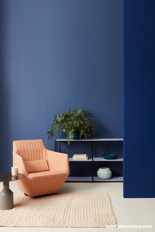 Living room featuring bold blue walls